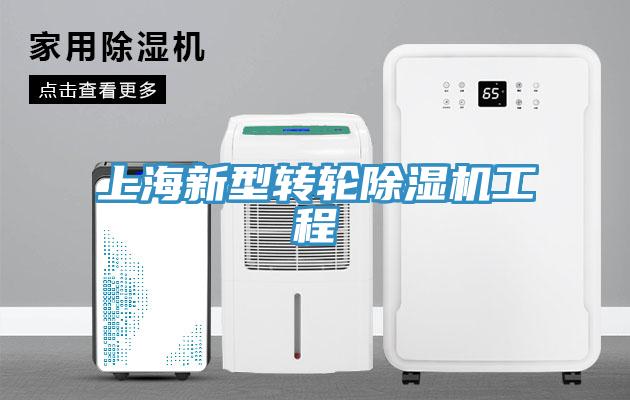上海新型轉輪草莓视频污污污污工程