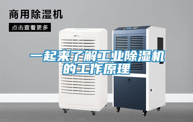 一起來了解工業草莓视频污污污污的工作原理