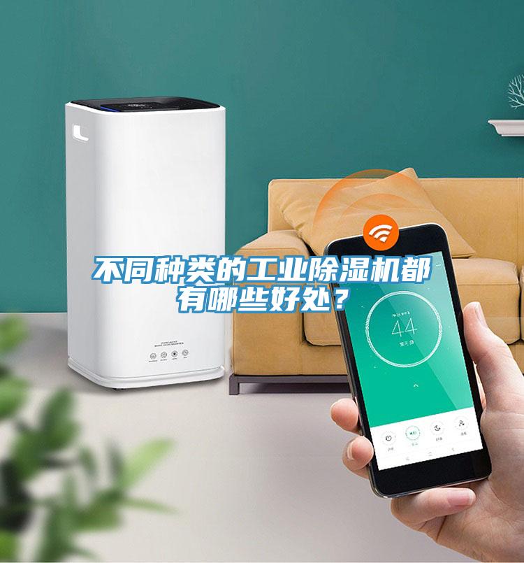 不同種類的工業草莓视频污污污污都有哪些好處？