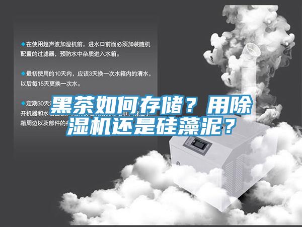 黑茶如何存儲？用草莓视频污污污污還是矽藻泥？