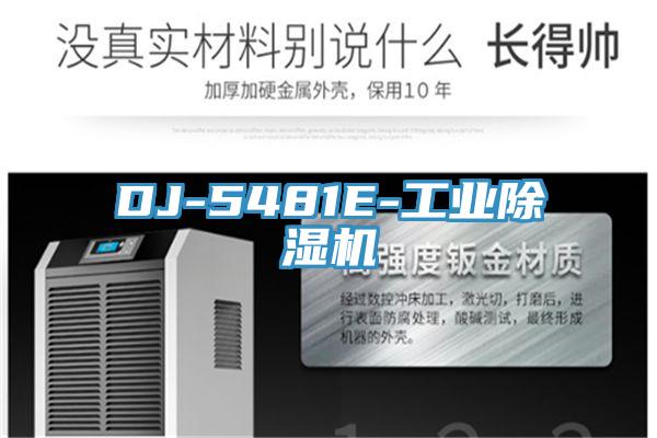 DJ-5481E-工業草莓视频污污污污
