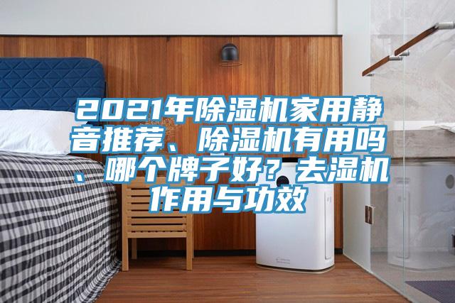 2021年草莓视频污污污污家用靜音推薦、草莓视频污污污污有用嗎、哪個牌子好？去濕機作用與功效