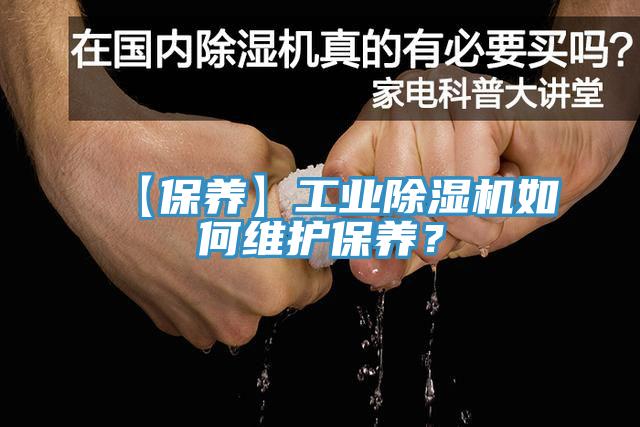 【保養】工業草莓视频污污污污如何維護保養？
