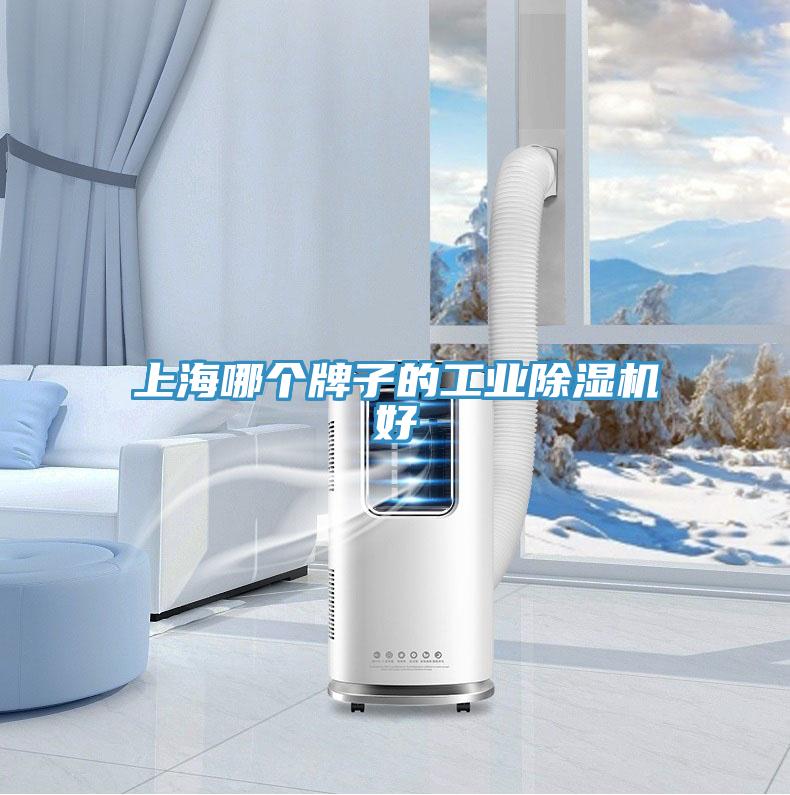 上海哪個牌子的工業草莓视频污污污污好