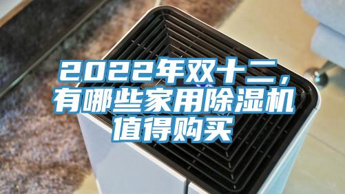 2022年雙十二，有哪些家用草莓视频污污污污值得購買