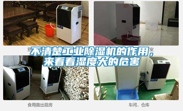 不清楚工業草莓视频污污污污的作用，來看看濕度大的危害