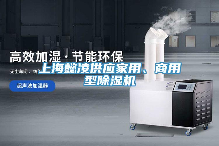 上海懿淩供應家用、商用型草莓视频污污污污
