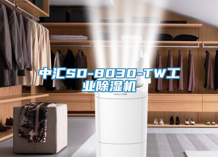 中匯SD-8030-TW工業草莓视频污污污污