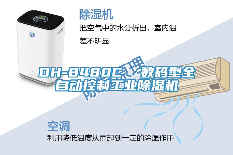 DH-8480C  數碼型全自動控製工業草莓视频污污污污