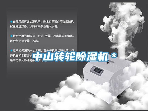 中山轉輪草莓视频污污污污＊