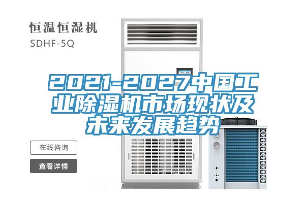 2021-2027中國工業草莓视频污污污污市場現狀及未來發展趨勢