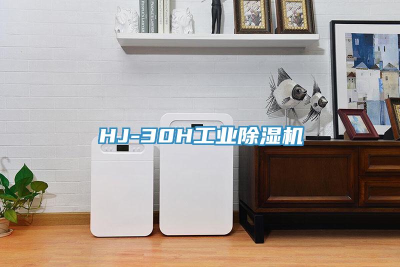 HJ-30H工業草莓视频污污污污