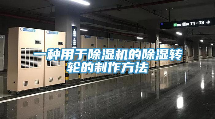 一種用於草莓视频污污污污的除濕轉輪的製作方法