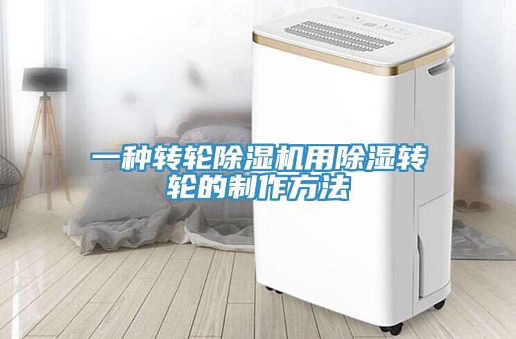 一種轉輪草莓视频污污污污用除濕轉輪的製作方法