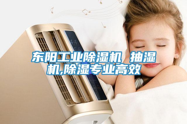 東陽工業草莓视频污污污污 抽濕機,除濕專業高效