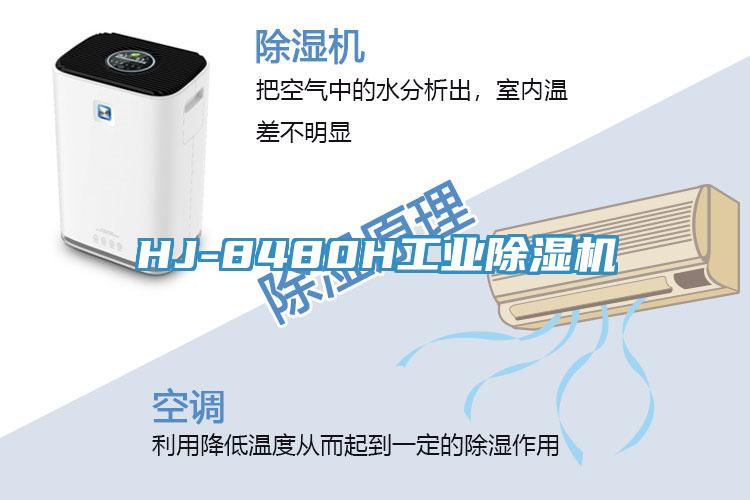 HJ-8480H工業草莓视频污污污污