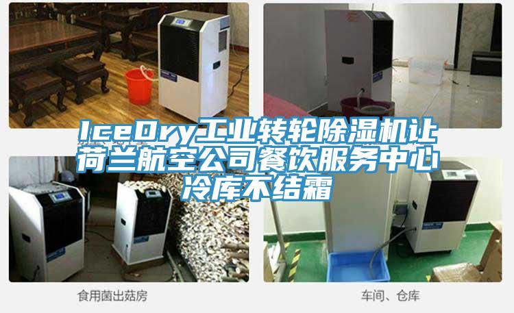 IceDry工業轉輪草莓视频污污污污讓荷蘭航空公司餐飲服務中心冷庫不結霜