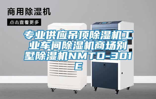 專業供應吊頂草莓视频污污污污工業車間草莓视频污污污污商場別墅草莓视频污污污污NMTD-301E