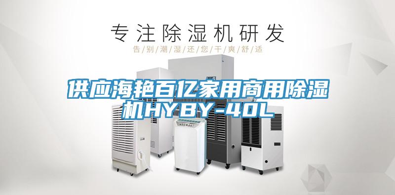 供應海豔百億家用商用草莓视频污污污污HYBY-40L