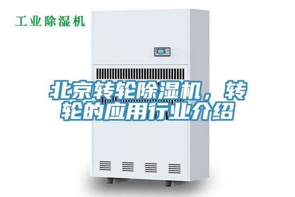 北京轉輪草莓视频污污污污，轉輪的應用行業介紹