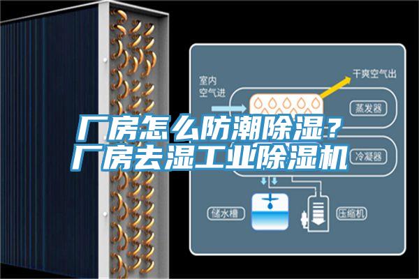 廠房怎麽防潮除濕？廠房去濕工業草莓视频污污污污