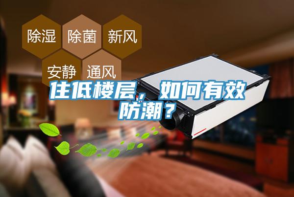 住低樓層，如何有效防潮？