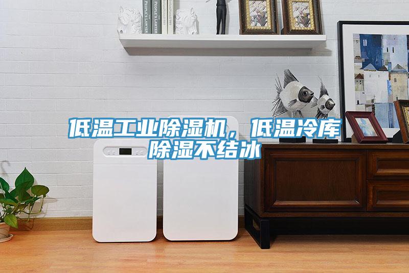 低溫工業草莓视频污污污污，低溫冷庫除濕不結冰