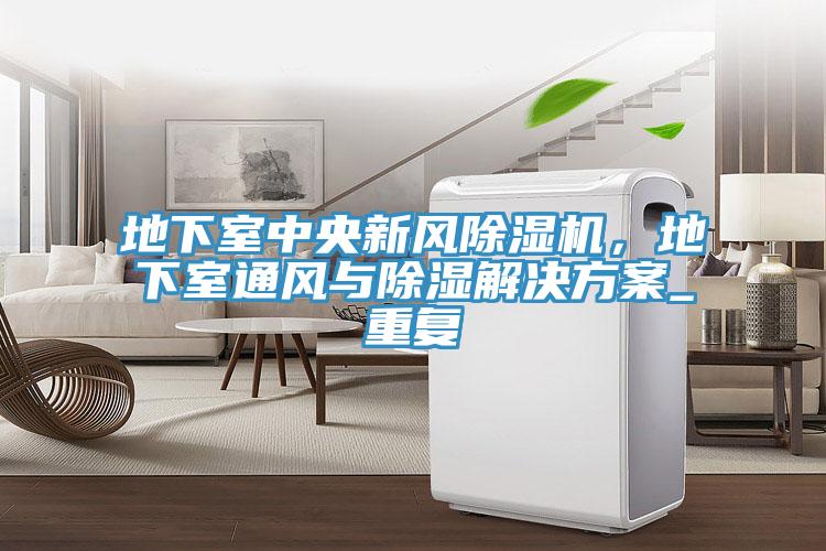 地下室中央新風草莓视频污污污污，地下室通風與除濕解決方案_重複