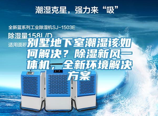 別墅地下室潮濕該如何解決？除濕新風一體機，全新環境解決方案