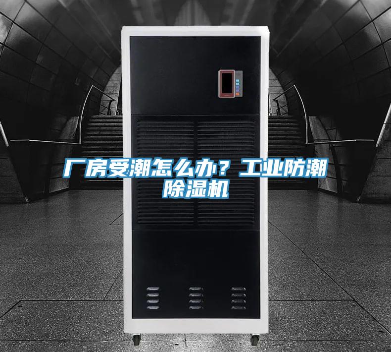 廠房受潮怎麽辦？工業防潮草莓视频污污污污