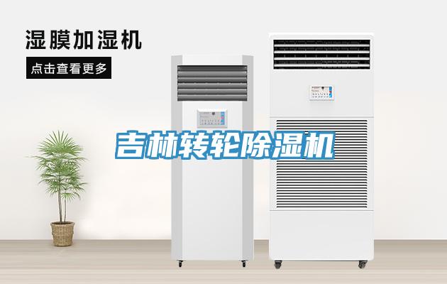 吉林轉輪草莓视频污污污污