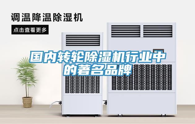 國內轉輪草莓视频污污污污行業中的著名品牌