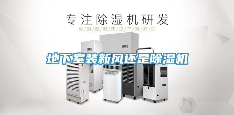 地下室裝新風還是草莓视频污污污污