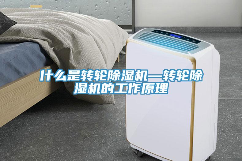 什麽是轉輪草莓视频污污污污—轉輪草莓视频污污污污的工作原理
