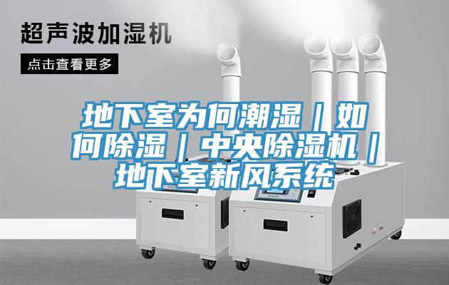地下室為何潮濕｜如何除濕｜中央草莓视频污污污污｜地下室新風係統