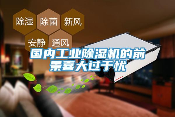 國內工業草莓视频污污污污的前景喜大過於憂