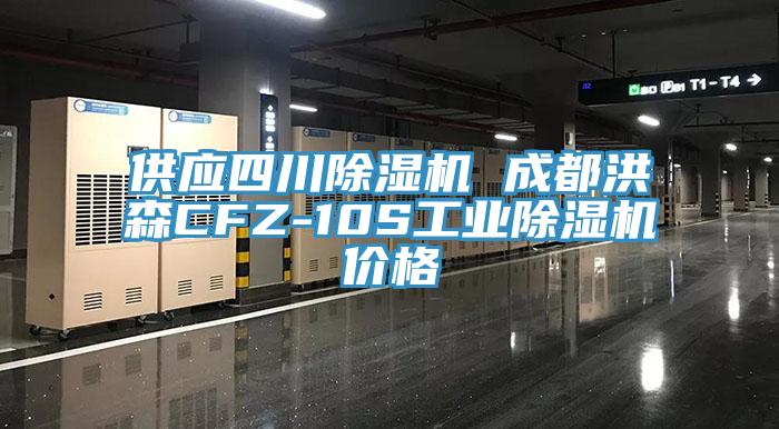 供應四川草莓视频污污污污 成都洪森CFZ-10S工業草莓视频污污污污價格