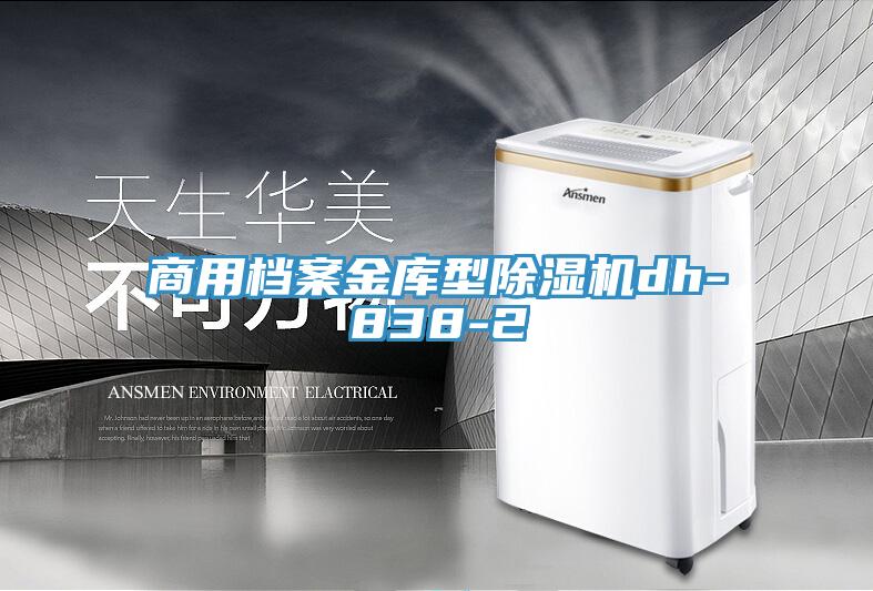 商用檔案金庫型草莓视频污污污污dh-838-2