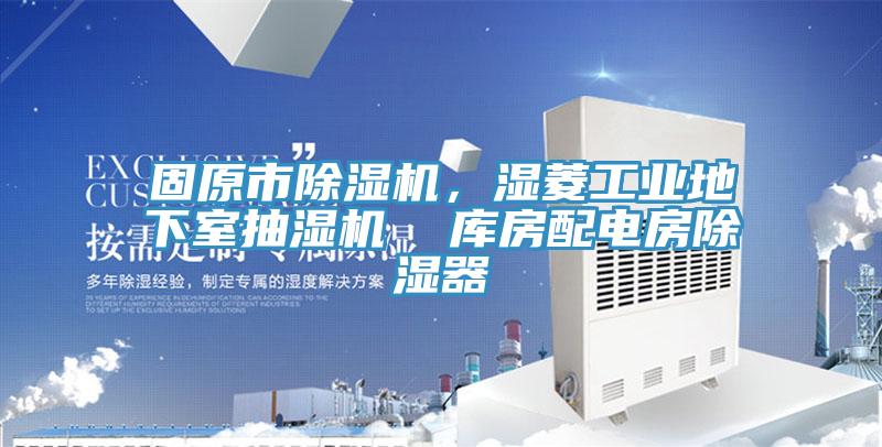 固原市草莓视频污污污污，濕菱工業地下室抽濕機  庫房配電房除濕器