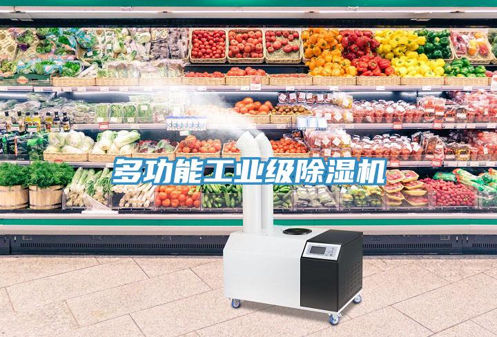 多功能工業級草莓视频污污污污