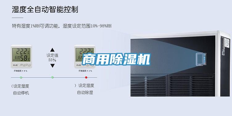 商用草莓视频污污污污