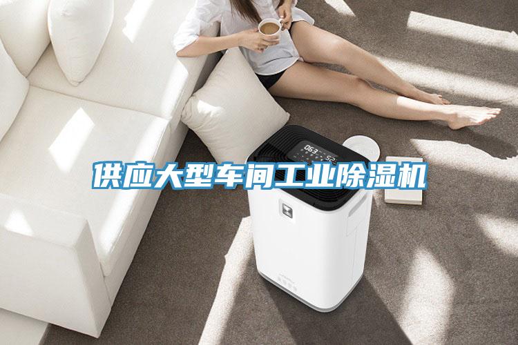 供應大型車間工業草莓视频污污污污