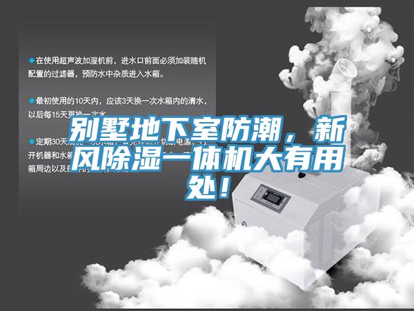 別墅地下室防潮，新風除濕一體機大有用處！