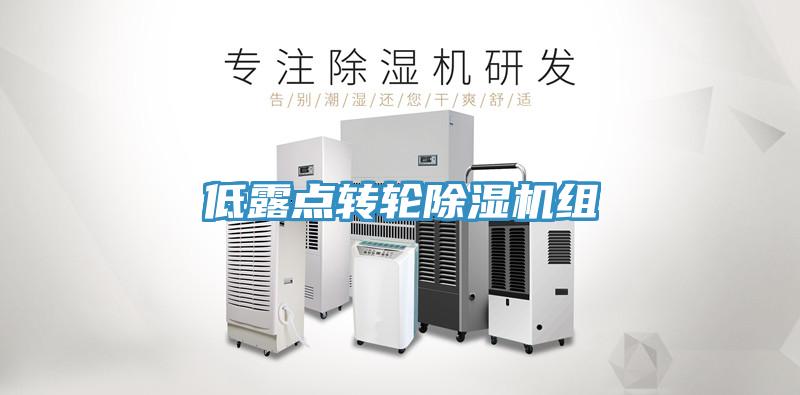 低露點轉輪草莓视频污污污污組