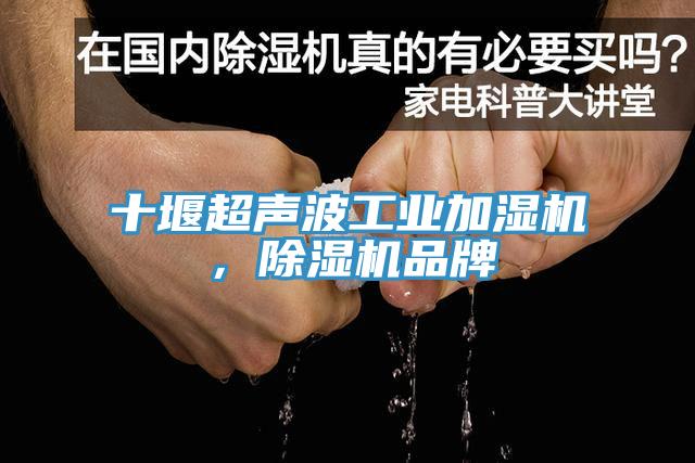 十堰超聲波工業加濕機，草莓视频污污污污品牌