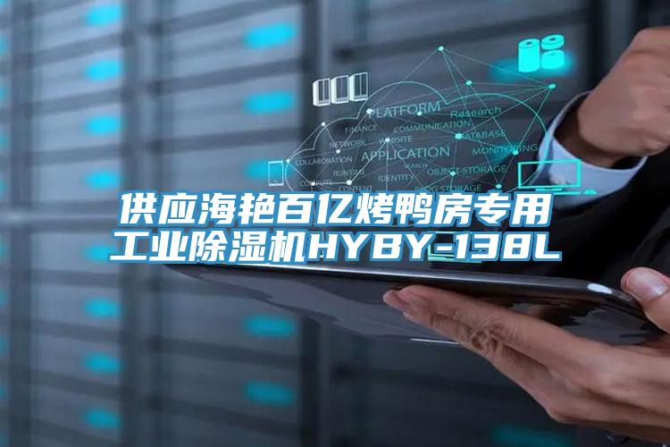 供應海豔百億烤鴨房專用工業草莓视频污污污污HYBY-138L