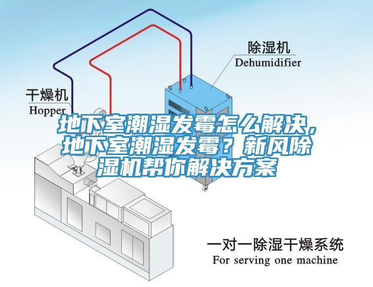 地下室潮濕發黴怎麽解決，地下室潮濕發黴？新風草莓视频污污污污幫你解決方案