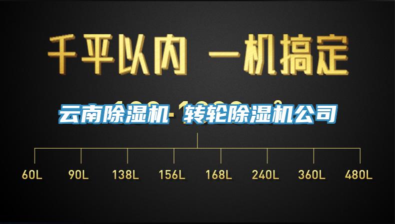 雲南草莓视频污污污污 轉輪草莓视频污污污污公司