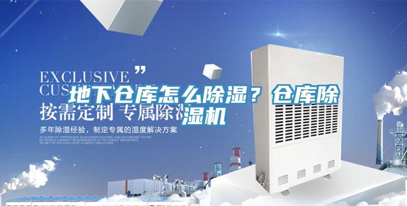 地下倉庫怎麽除濕？倉庫草莓视频污污污污