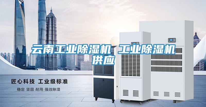 雲南工業草莓视频污污污污 工業草莓视频污污污污供應